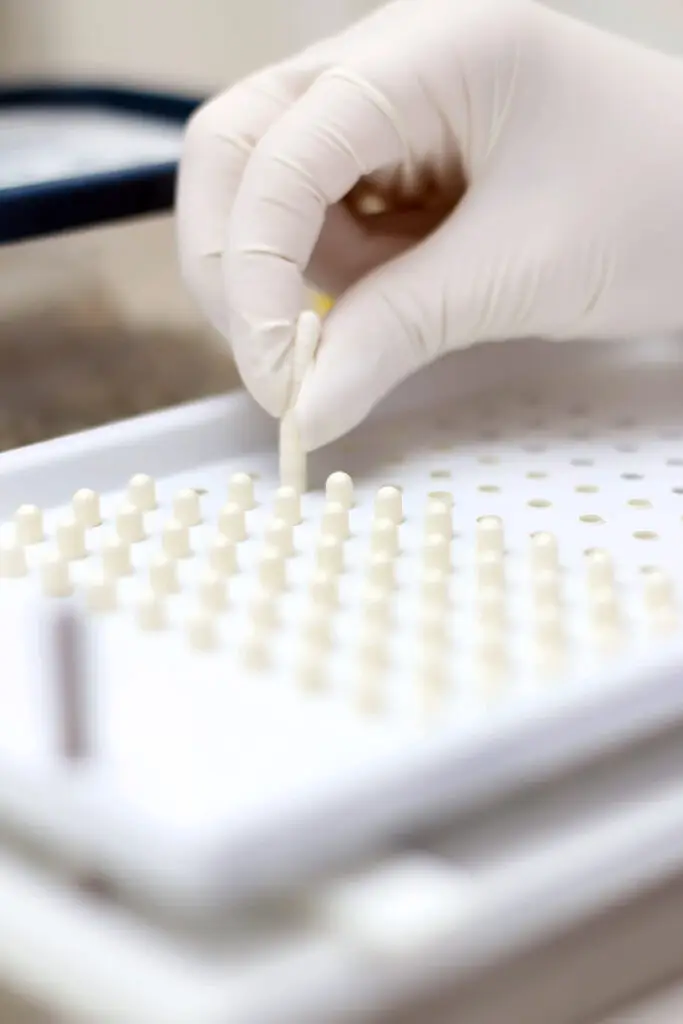 production de capsules, pilules, médicaments